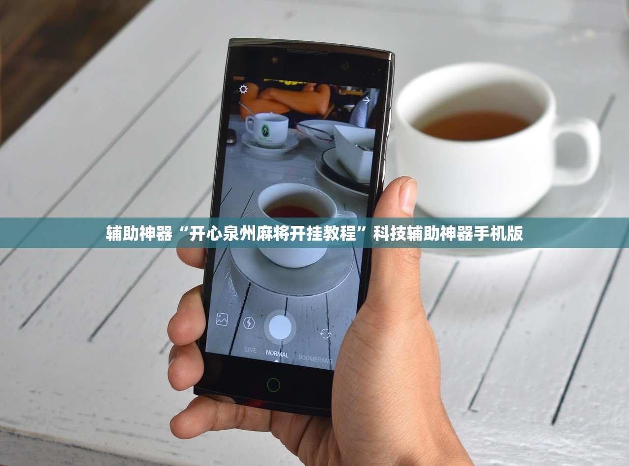 辅助神器“开心泉州麻将开挂教程”科技辅助神器手机版