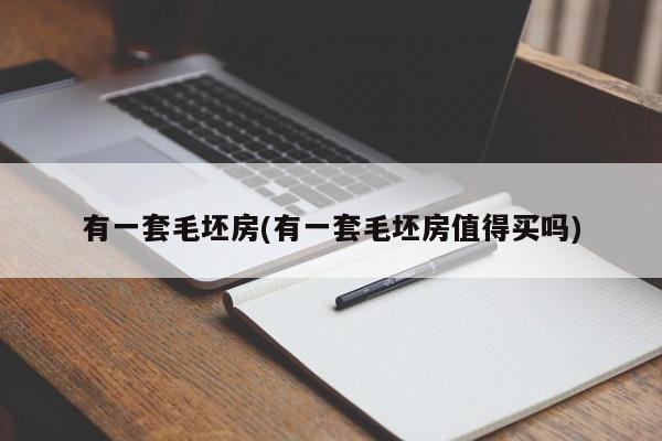 有一套毛坯房(有一套毛坯房值得买吗)