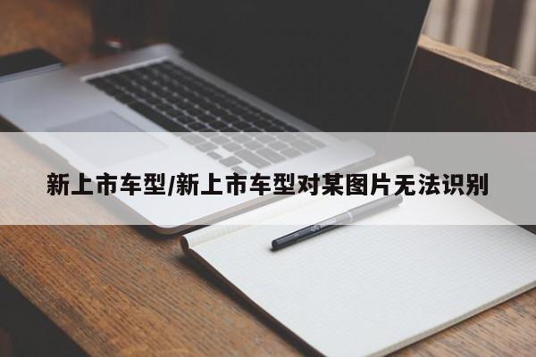 新上市车型/新上市车型对某图片无法识别