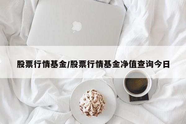 股票行情基金/股票行情基金净值查询今日