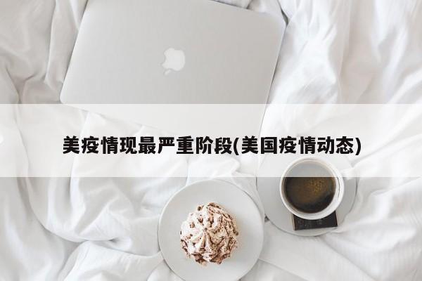 美疫情现最严重阶段(美国疫情动态)
