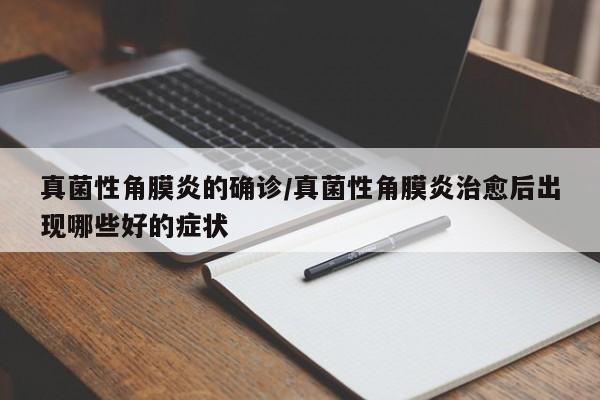 达标车型/达标车型核查报告
