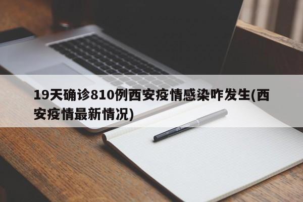 奥迪新款费用/奥迪新款费用q3